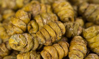 铁皮石斛栽培技术（铁皮石斛栽培技术视频播放）