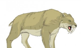 剑齿虎模拟器所有母虎的位置 剑齿虎模拟器所有母虎的位置图片