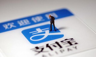 支付宝收款码申请账户异常 支付宝收款码申请账户异常暂不支持