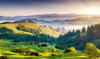 四时田园杂兴其31是什么季节（四时田园杂兴其31是什么季节写的诗）