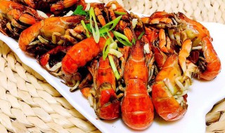 蝼蛄虾习性(什么是虾蛄)