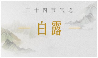 24节气的规律或特点（24节气的内容及特点）