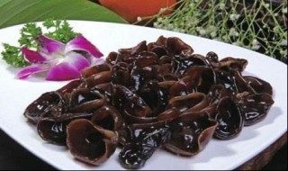 泡木耳有何禁忌 泡木耳有何禁忌与副作用