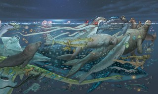 生物分为什么和什么(生物分为什么和什么两类)