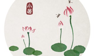 小暑后面的节气是什么 小暑后面的节气是什么时候