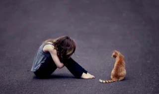 如何不让眼泪流下来(如何不让眼泪流下来非主流)