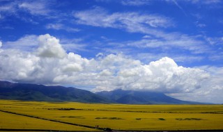 关于青海的地理知识的分类 青海地理知识点