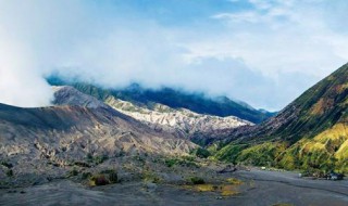 爪哇岛种植业可持续发展的主要措施（简述爪哇岛种植业可持续发展的主要措施）