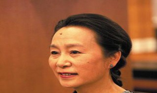 宝灵魏市长是什么电视剧(灵宝是哪部电视剧的人物)