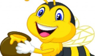 蜜蜂怎么分桶 蜜蜂怎么分桶最好