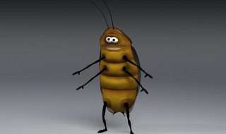 怎样喂养杜比亚蟑螂（怎样喂养杜比亚蟑螂视频）