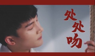 处处吻译文 处处吻意思