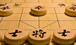 中国象棋象是什么意思（象棋的象是指什么）