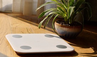 体脂秤有用吗（几十元的体脂秤有用吗）