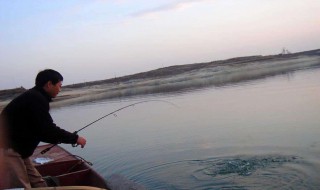 冬天晚上路亚用什么饵最好 冬季路亚用什么饵