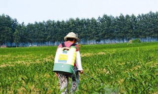 芽前除草剂使用技巧 芽前封闭除草用如何使用效果好