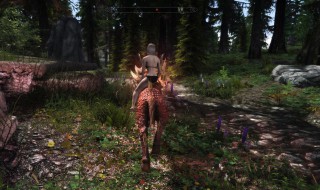 上古卷轴5重制版mod怎么安装 上古卷轴5重制版如何安装mod