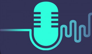 千变语音为什么用不了（百变语音为什么用不了）