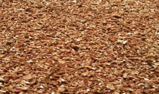 煤渣可以代替蛭石吗（煤渣可以代替蛭石吗有毒吗）