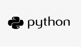 Python3.0正式发布的年份是（Python3.8正式发布的年份是）