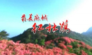 湖北麻城结婚习俗 麻城婚嫁风俗