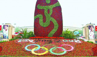 常见的花坛花卉搭配（花坛四种花卉搭配）