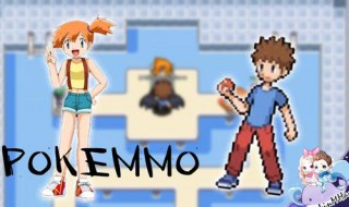 pokemmo新手攻略（pokemmo入门攻略）