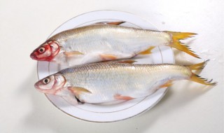 花白鲢饵料配方 花白鲢鳙饵料配方及制作方法