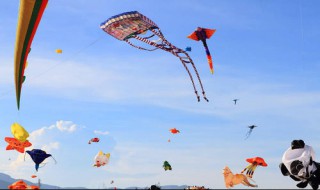 西南风是由什么吹向什么(西南风是由什么吹向什么燕子往东边飞顺风吗?)