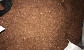 废铜屑是酸还是碱性(废铜屑的化学式)