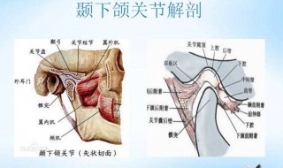 挂钩掉了怎么办（脸部挂钩掉了怎么办）