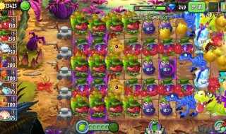 植物大战僵尸2摇滚无尽挑战最强阵容（植物大战僵尸2摇滚无尽阵容）