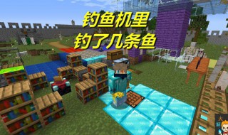 我的世界鱼怎么繁殖 我的世界鱼怎么繁殖手机版