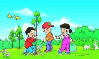 植树一般在什么地方（一般在什么地方种树）