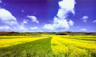 96688是什么银行 96688银行的介绍