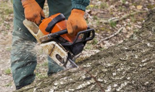 油锯冒白烟是什么原因（油锯冒黑烟是什么原因）