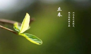 打春吃什么饭呢（立春应该吃什么）