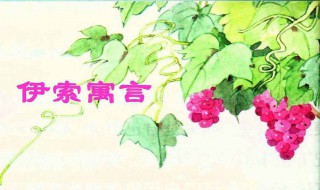 说葡萄酸的狐狸出自于哪个寓言（说葡萄酸的狐狸出自于什么寓言）