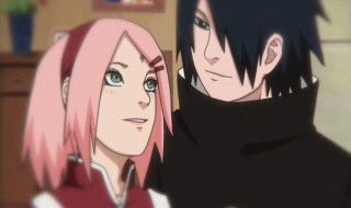 小樱给佐助看验孕棒是第几集 火影忍者小樱给佐助看验孕棒那集是