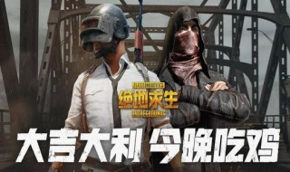 吃鸡游戏输了会怎么样（吃鸡是赢了还是输了）