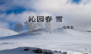 沁园春雪的创作目的（沁园春雪的创作目的是）