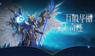 奇迹mu刷怪最快的职业（奇迹mu刷迷宫什么职业最强）