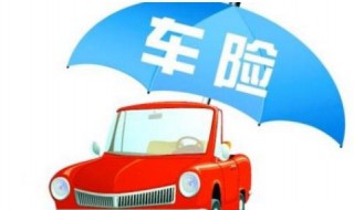 第二年车险怎么买最划算?（第二年车险怎么买最划算2021）