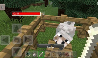 我的世界怎么让狗看家 我的世界里怎么养狗