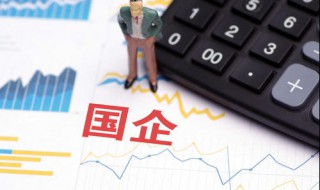 国有企业分配属于什么分配方式(在国有企业上班属于哪种分配方式)