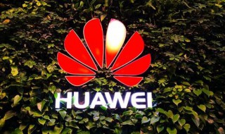 华为畅享9plus电池不耐用如何修复（华为畅享9s电池不耐用怎么办）