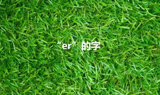 er的汉字 二的汉字怎么写