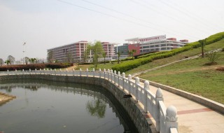 郑州铁路职业技术学院招艺术生吗 郑州铁路职业技术学院招艺术生吗分数线