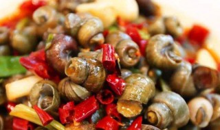 野生的田螺可不可以吃 田螺能不能吃?