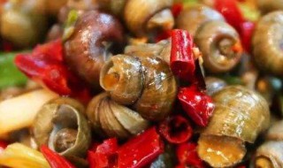 石螺可以吃吗 石螺可以吃吗有寄生虫吗